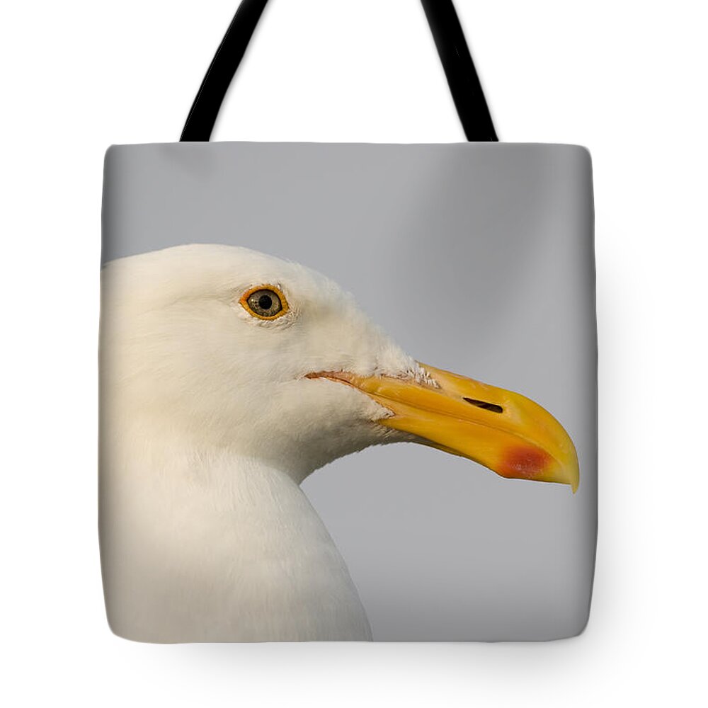 00429738 Tote Bag featuring the photograph Western Gull In Breeding Plumage by Sebastian Kennerknecht