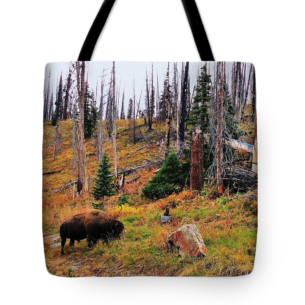 Animal Tote Bag featuring the photograph Western Icon by Benjamin Yeager