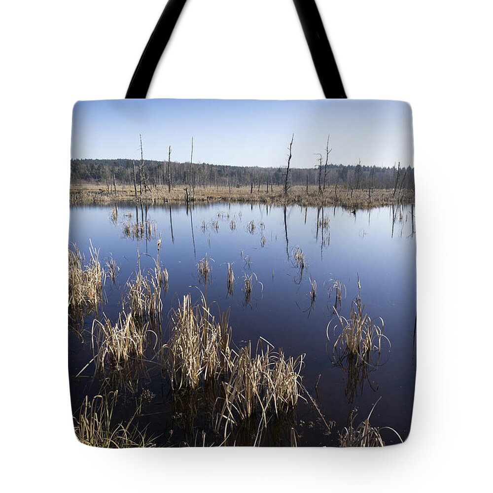 Bog Tote Bag featuring the photograph Wetland Schwenninger Moos by Matthias Hauser