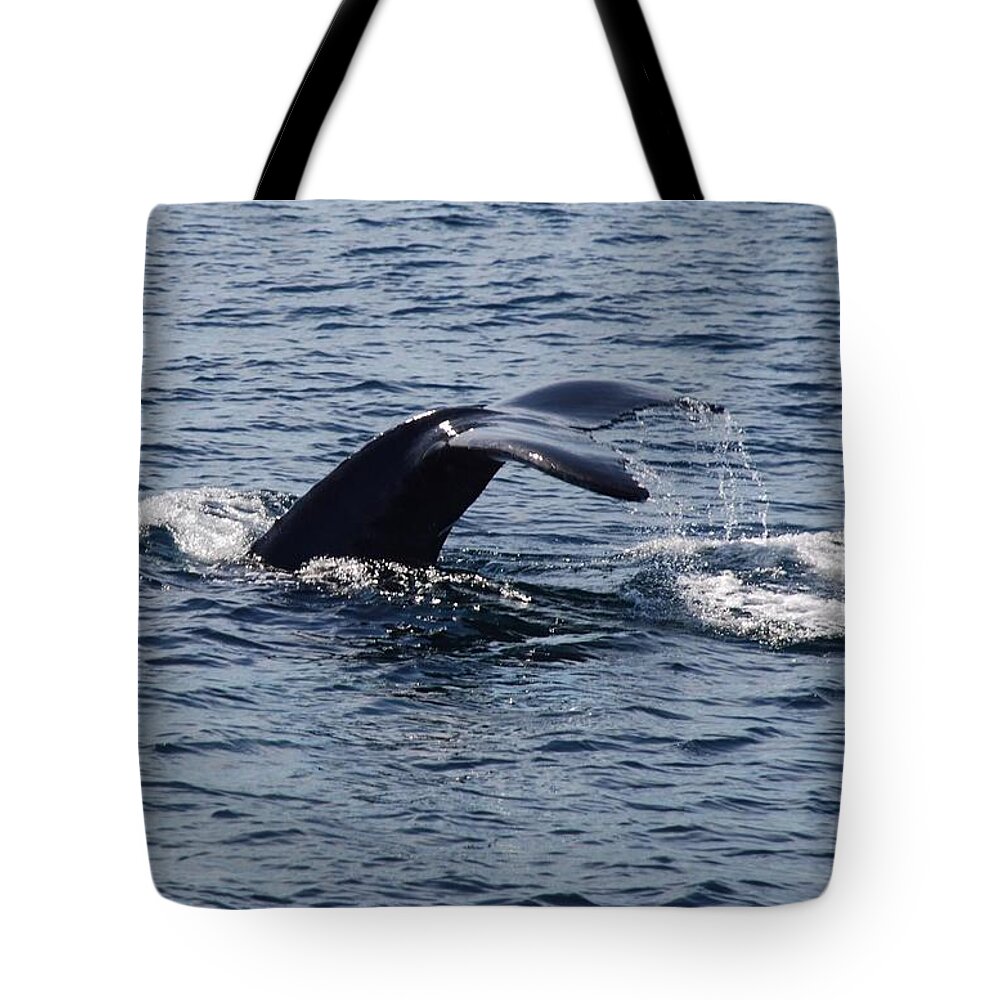 Whale Tote Bag featuring the photograph Whale Dive by Richard Bryce and Family