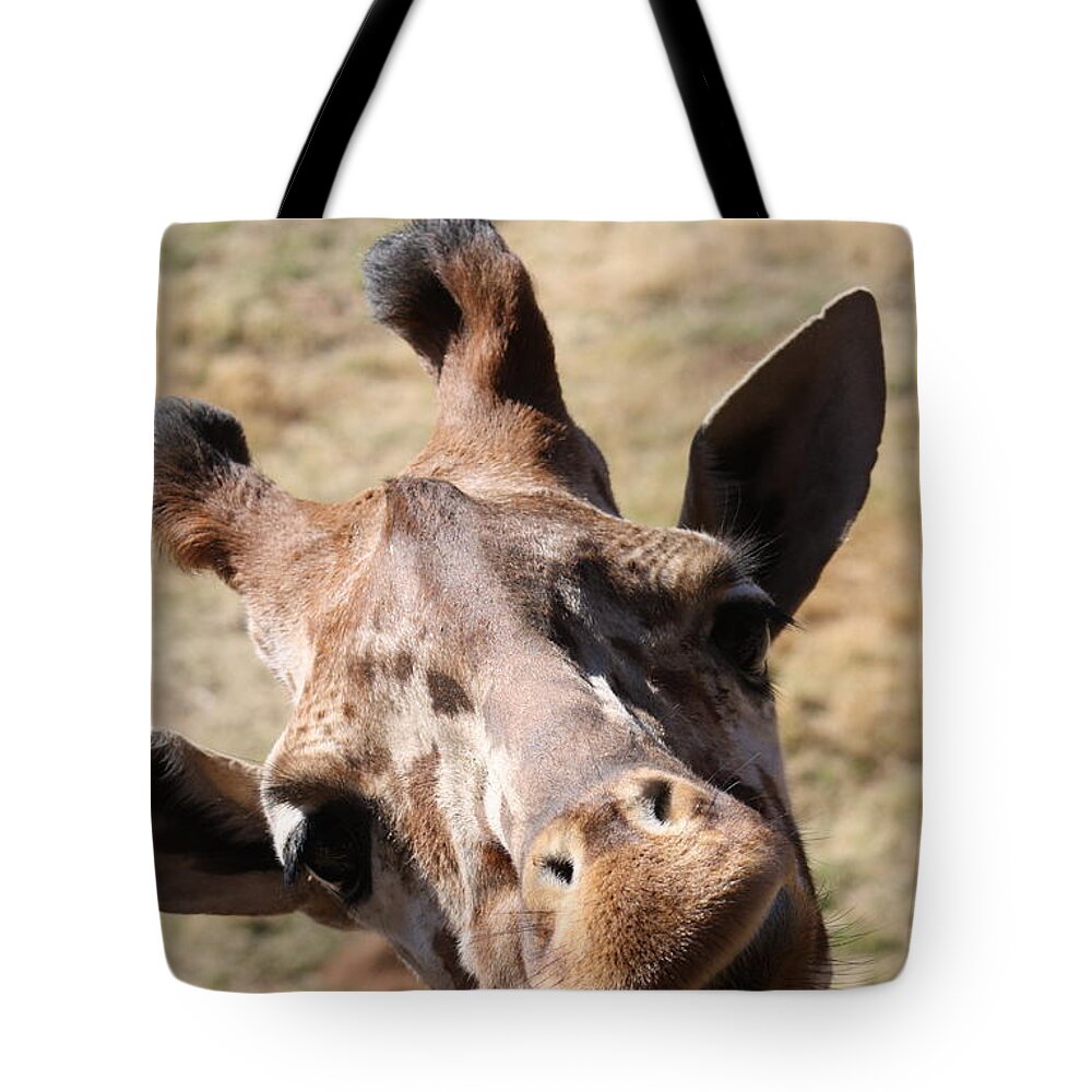 Giraffe Tote Bag featuring the photograph What A Face by Kim Galluzzo