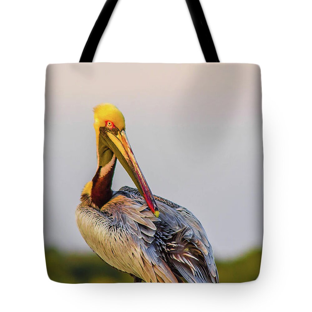 Pelican Tote Bag featuring the photograph What are You Looking at by Shannon Harrington