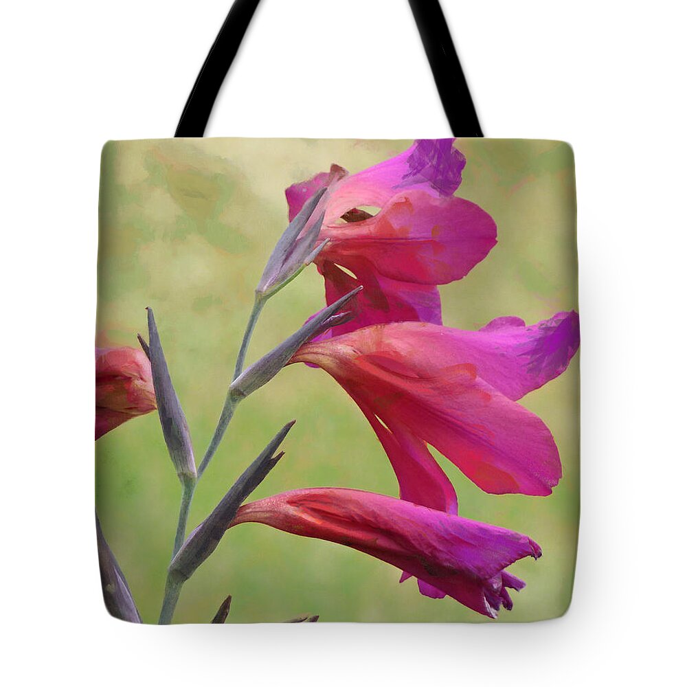 Red Tote Bag featuring the digital art Which way did the sun go by Steve Taylor