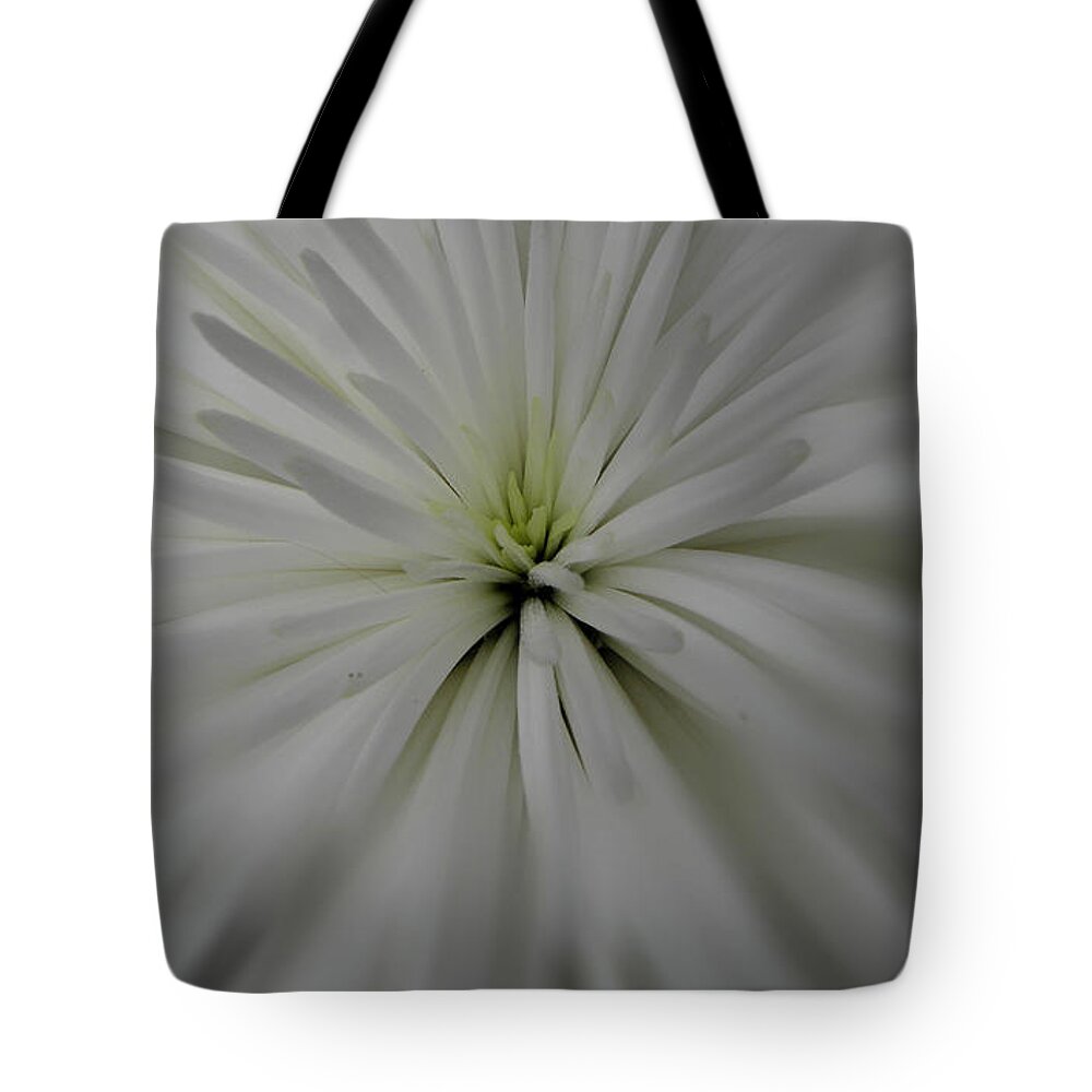 White Flower Tote Bag featuring the photograph White Glow by Kim Galluzzo