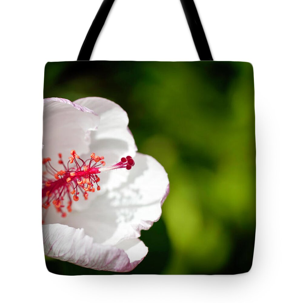 Hawaii Tote Bag featuring the photograph White Hibiscus by Dan McManus
