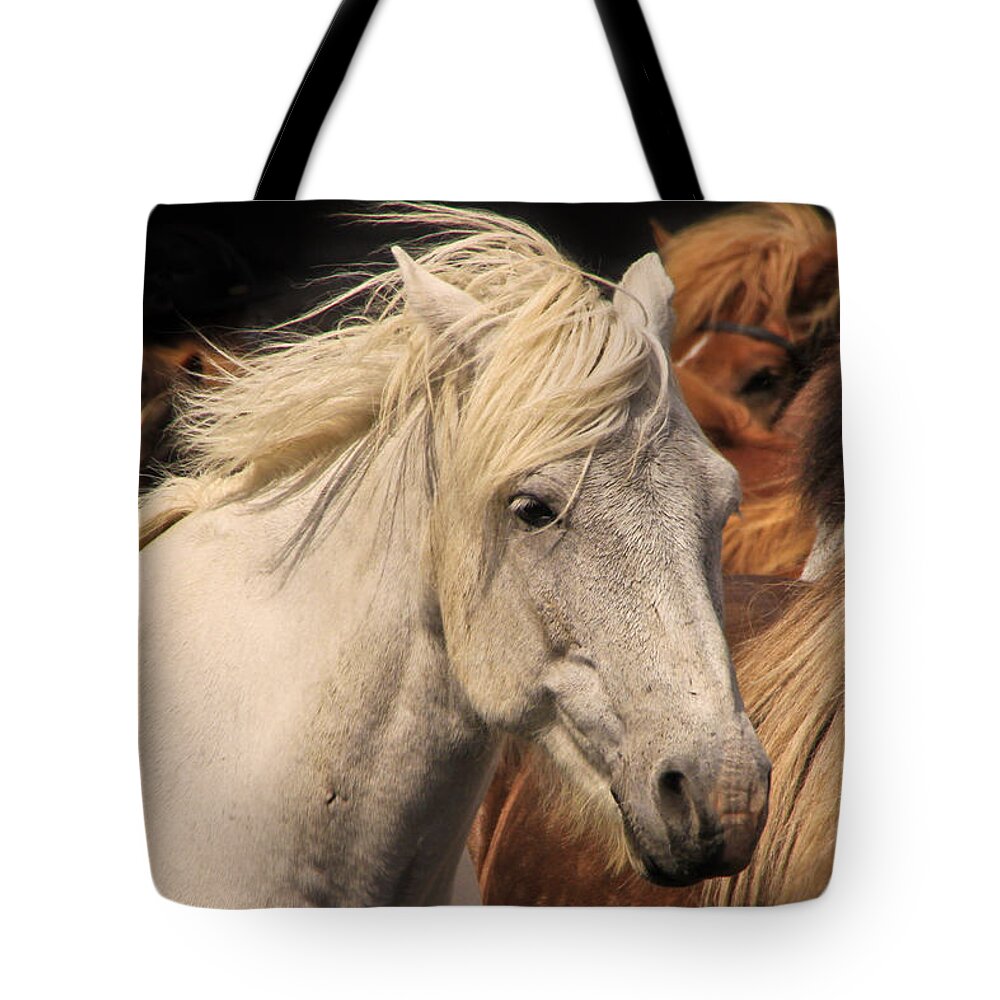 Horse Tote Bag featuring the photograph White Icelandic Horse by Tom and Pat Cory