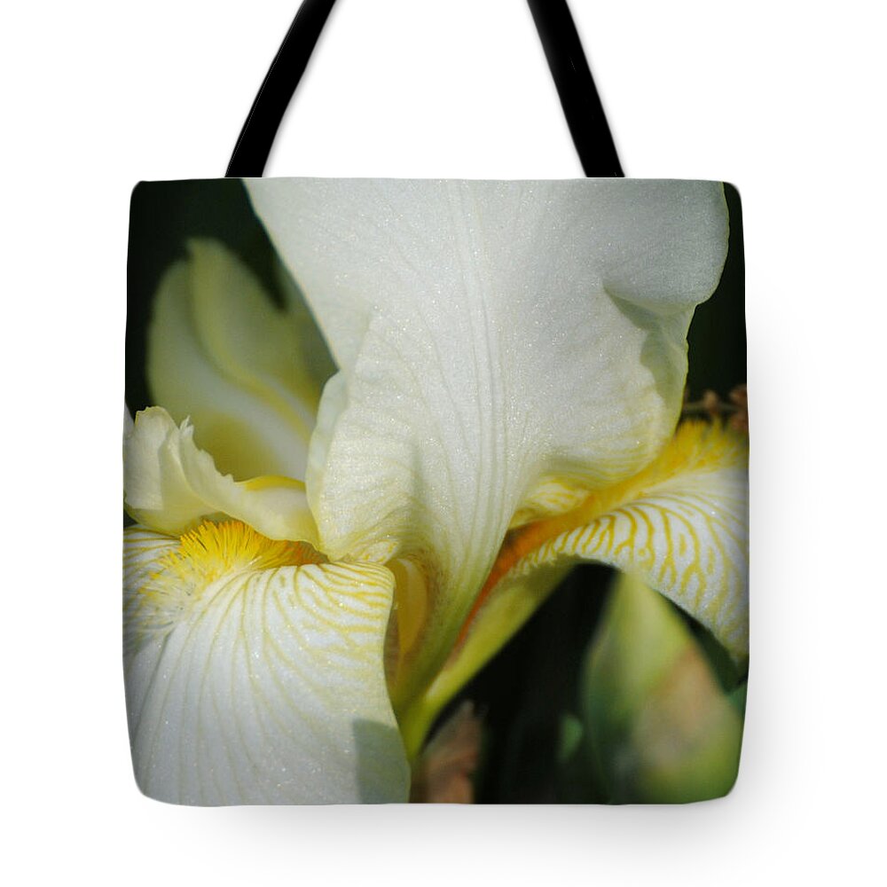 Beautiful Iris Tote Bag featuring the photograph White Iris by Jai Johnson