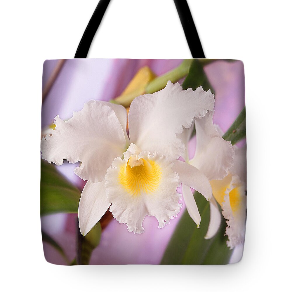 White Flower Tote Bag featuring the photograph White Orchid by Mike McGlothlen