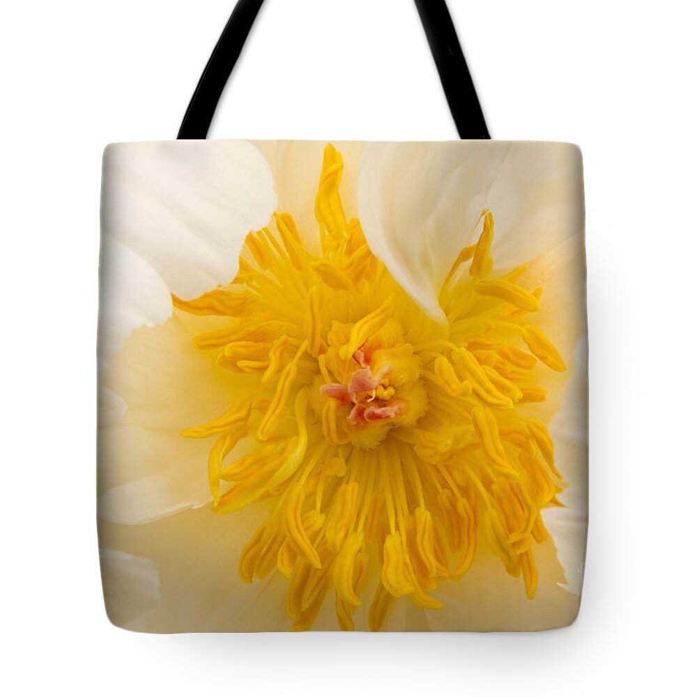 Peony Tote Bag featuring the photograph White Peony - Golden Centre by Ann Garrett