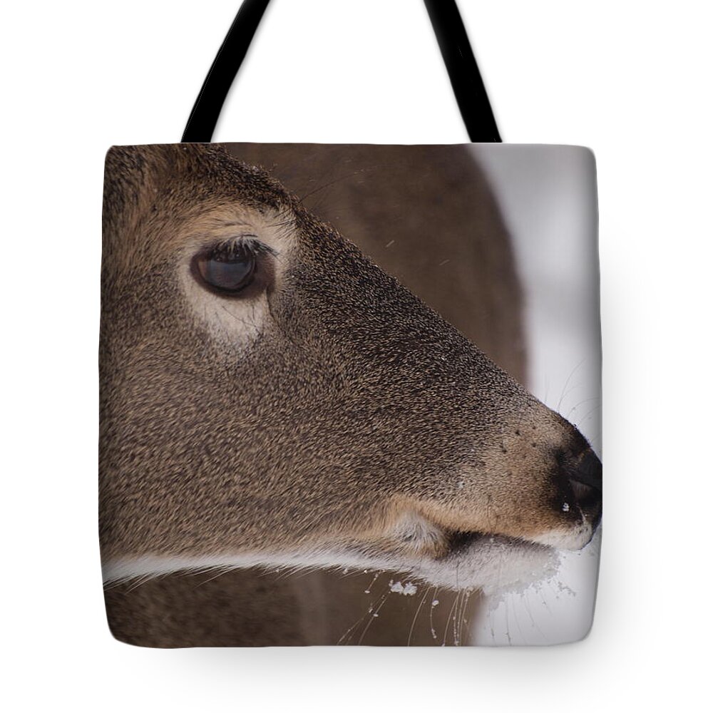 Deer Tote Bag featuring the photograph White Tail Close Up by Joshua House