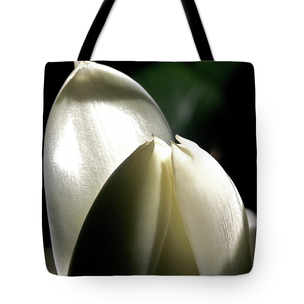 Torch Ginger Tote Bag featuring the photograph White Torch Ginger by Jocelyn Kahawai
