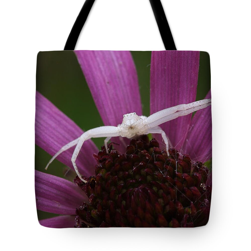 Whitebanded Crab Spider Tote Bag featuring the photograph Whitebanded Crab Spider On Tennessee Coneflower by Daniel Reed