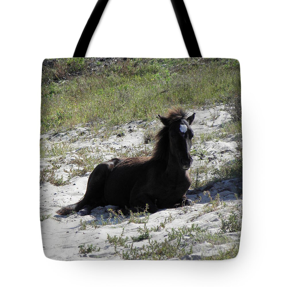 Wild Tote Bag featuring the photograph Wild Foal by Kim Galluzzo Wozniak