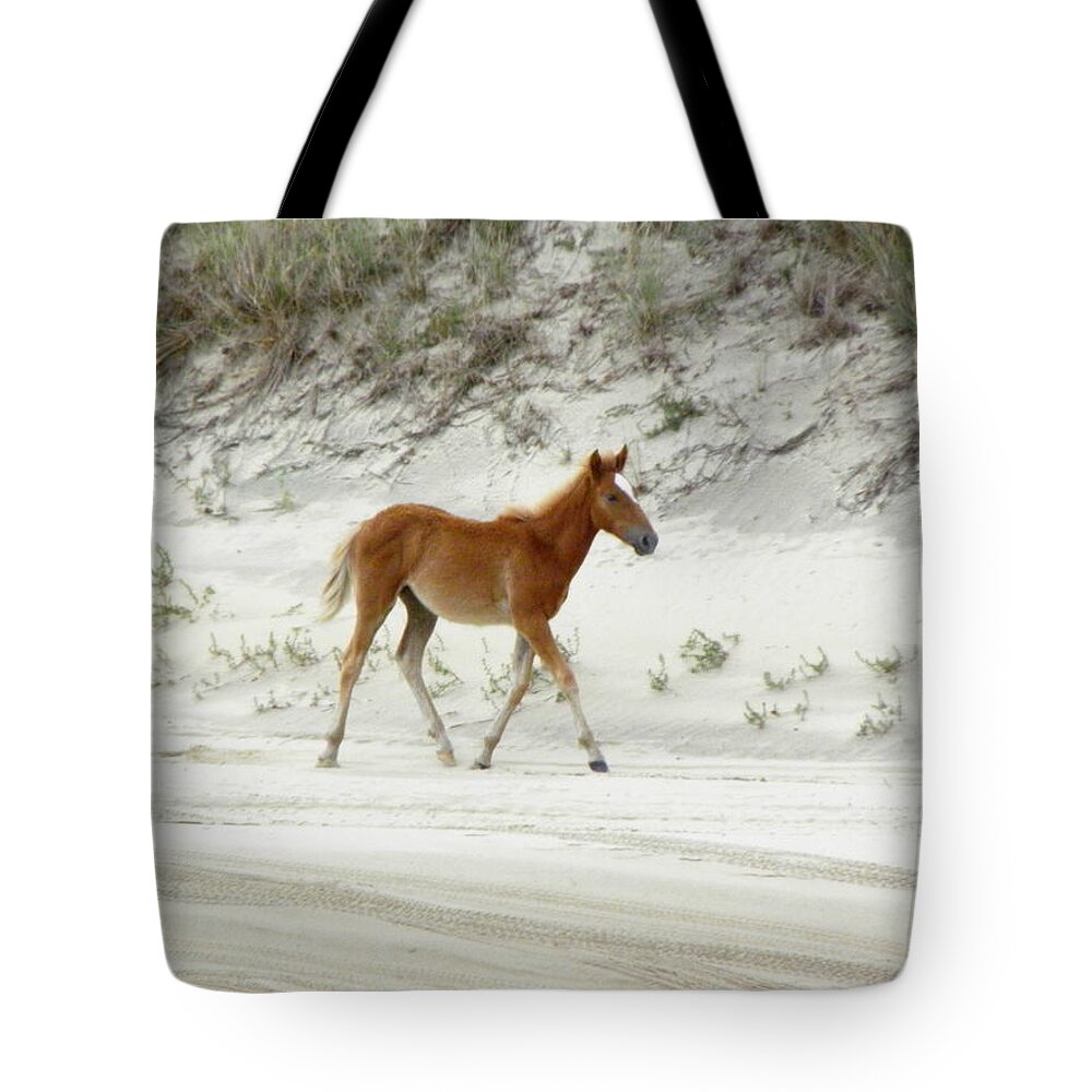 Foal Tote Bag featuring the photograph Wild Spanish Mustang Foal of the Outer Banks of North Carolina by Kim Galluzzo Wozniak