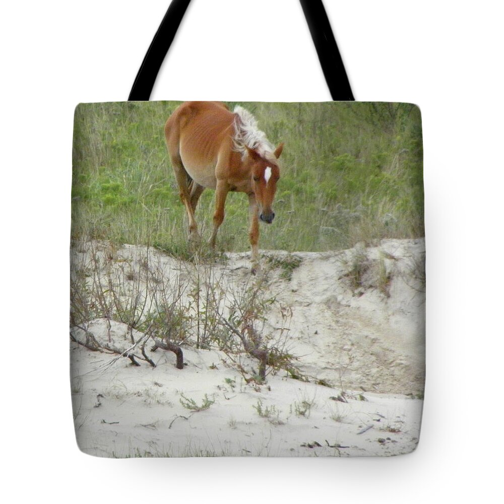 Mustang Tote Bag featuring the photograph Wild Spanish Mustang of the Outer Banks of North Carolina by Kim Galluzzo Wozniak