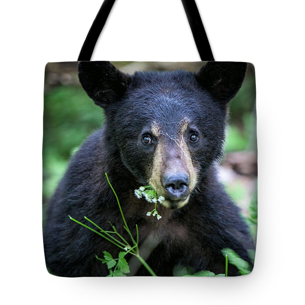 Black Tote Bag featuring the photograph Wildflower Bear by Ronald Lutz