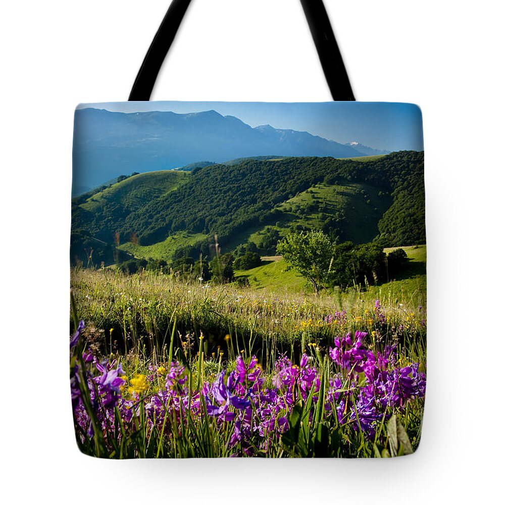 Field Tote Bag featuring the photograph Wildflowers Umbria by Brian Jannsen