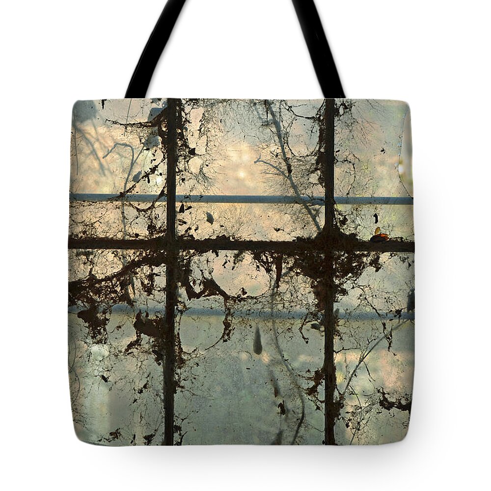 Window Vines Blue Sky Glass Reflection Old Building Tote Bag featuring the photograph Window Vines by Patricia Caldwell
