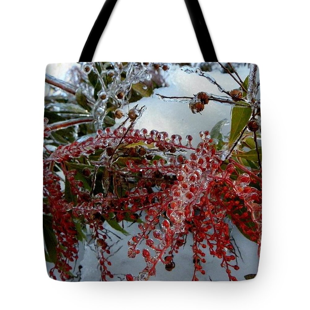 Berries Tote Bag featuring the photograph Winter Berries frozen in time by Kim Galluzzo