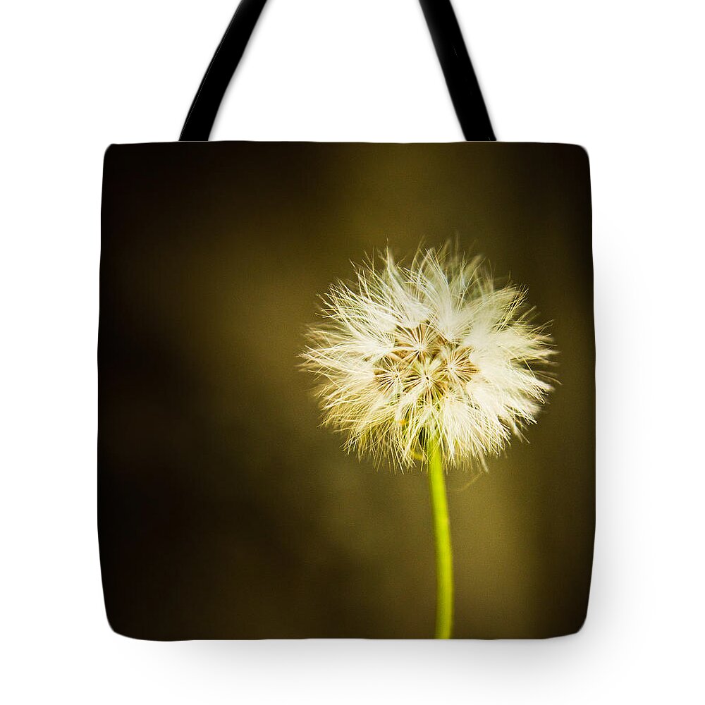 Dandelion Tote Bag featuring the photograph Wishes by Sara Frank