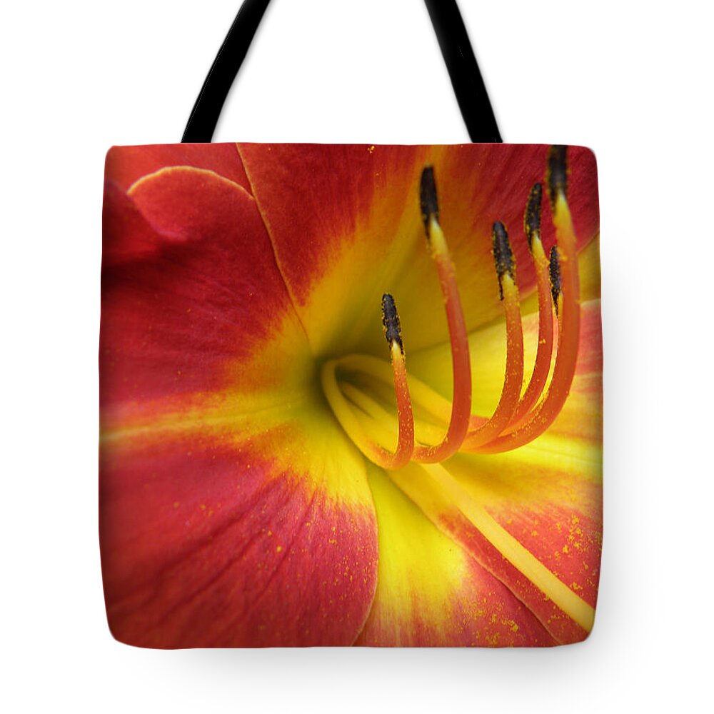 Day Lily Tote Bag featuring the photograph With Great Detail by Kim Galluzzo