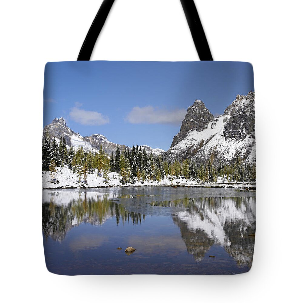 00176090 Tote Bag featuring the photograph Wiwaxy Peaks And Cathedral Mountain by Tim Fitzharris
