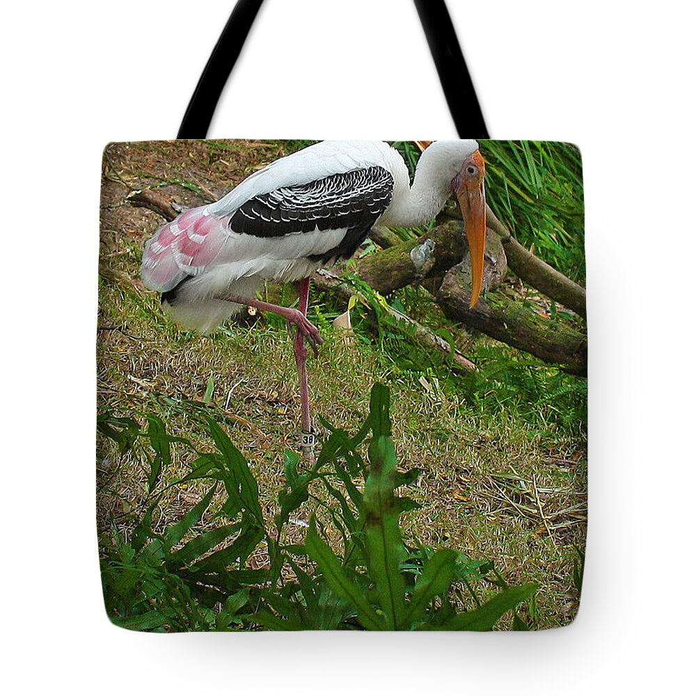Wood Tote Bag featuring the photograph Wood Stork by Farol Tomson