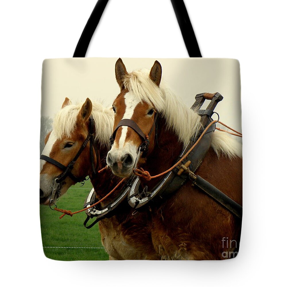 Horses Tote Bag featuring the photograph Work Horses by Lainie Wrightson
