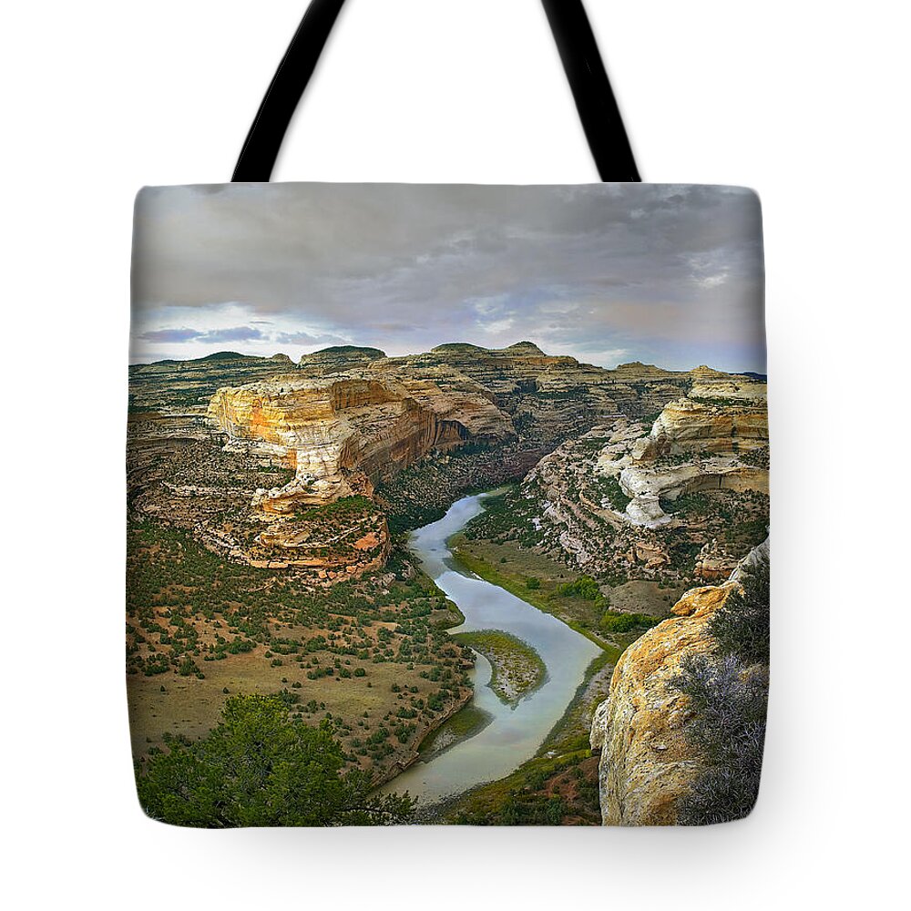 00176649 Tote Bag featuring the photograph Yampa River Flowing Through Canyons by Tim Fitzharris