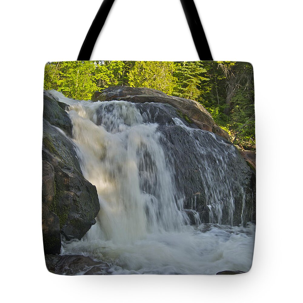 Landscape Tote Bag featuring the photograph Yellow Dog Falls 4192 by Michael Peychich