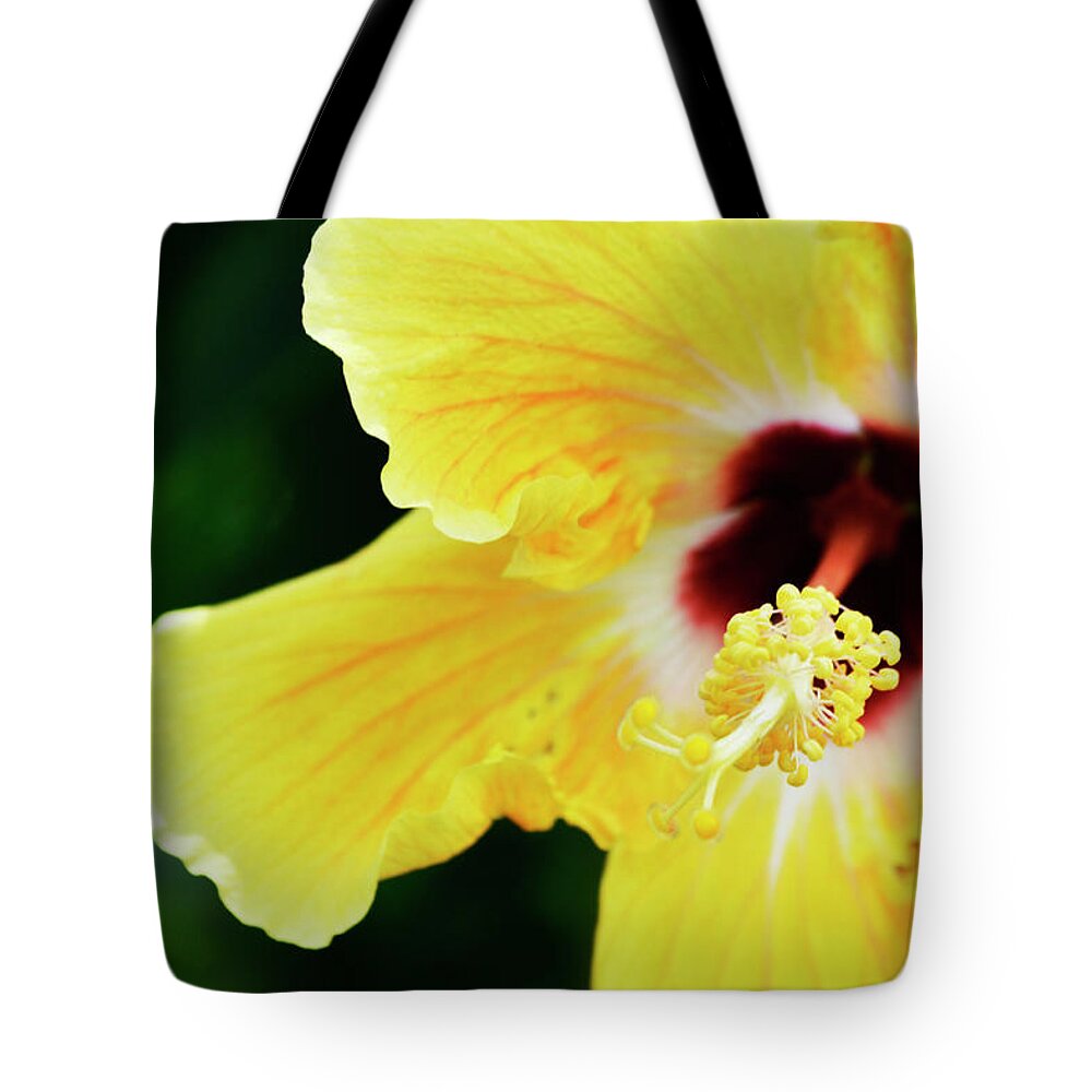 Hibiscus Tote Bag featuring the photograph Yellow Hibiscus by Melanie Moraga