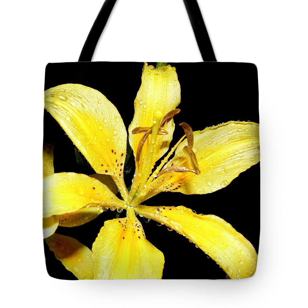 Yellow Tote Bag featuring the photograph Yellow Lily by night by Kim Galluzzo