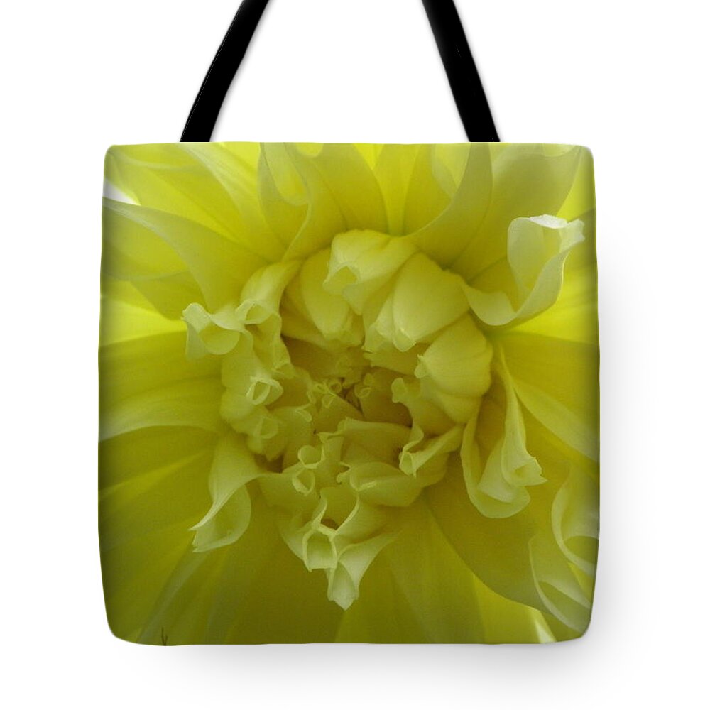 Yellow Tote Bag featuring the photograph Yellow Sunshine by Kim Galluzzo Wozniak