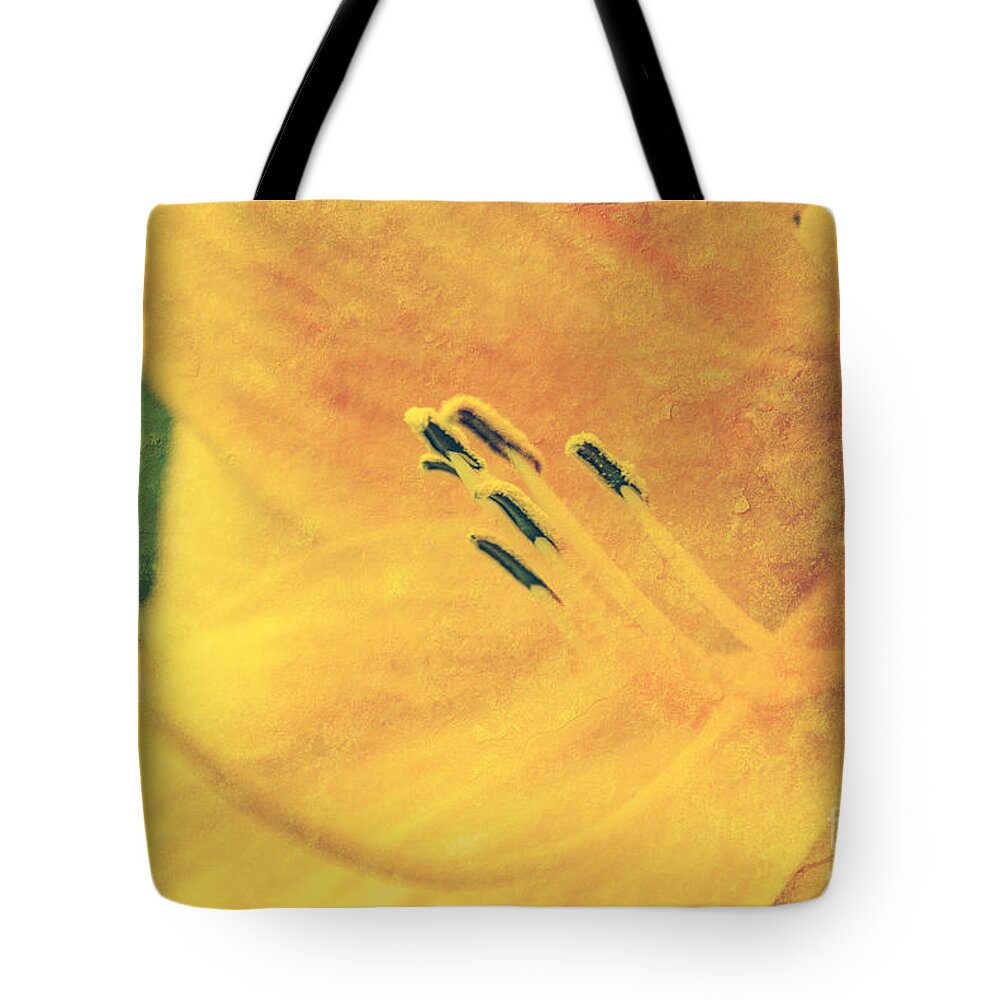 Yellow Flower Photographs Tote Bag featuring the photograph Yellows - textured by Aimelle Ml