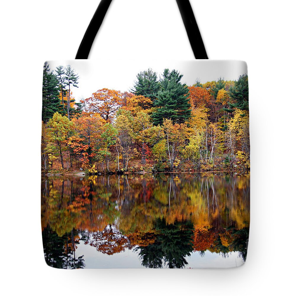 Fall Foliage Tote Bag featuring the photograph Yellows Dream by Brenda Giasson