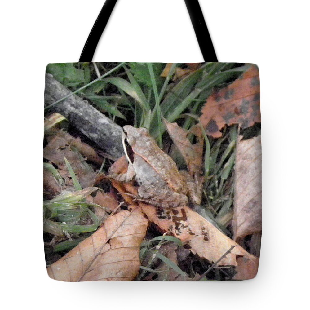 Frog Tote Bag featuring the photograph yes I blend by Kim Galluzzo Wozniak