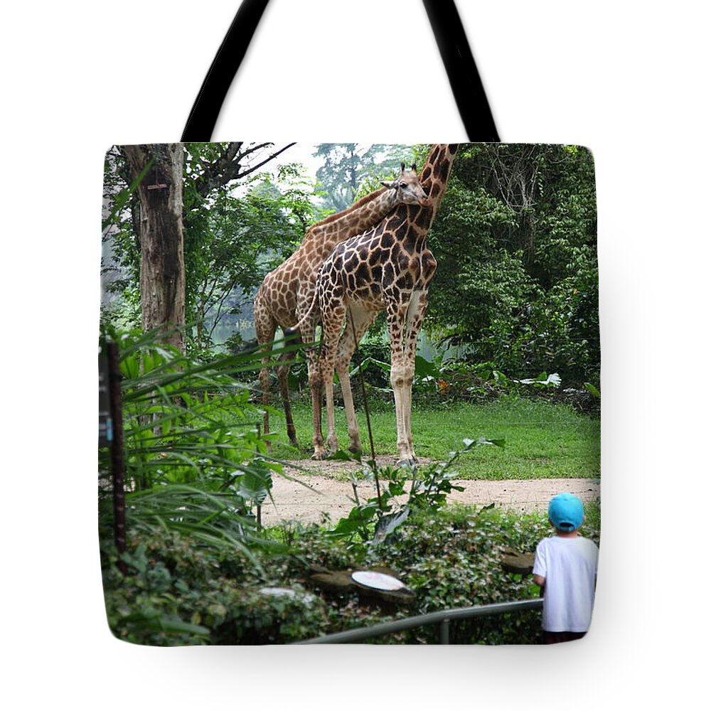 Boy Tote Bag featuring the photograph zoo by Milena Boeva