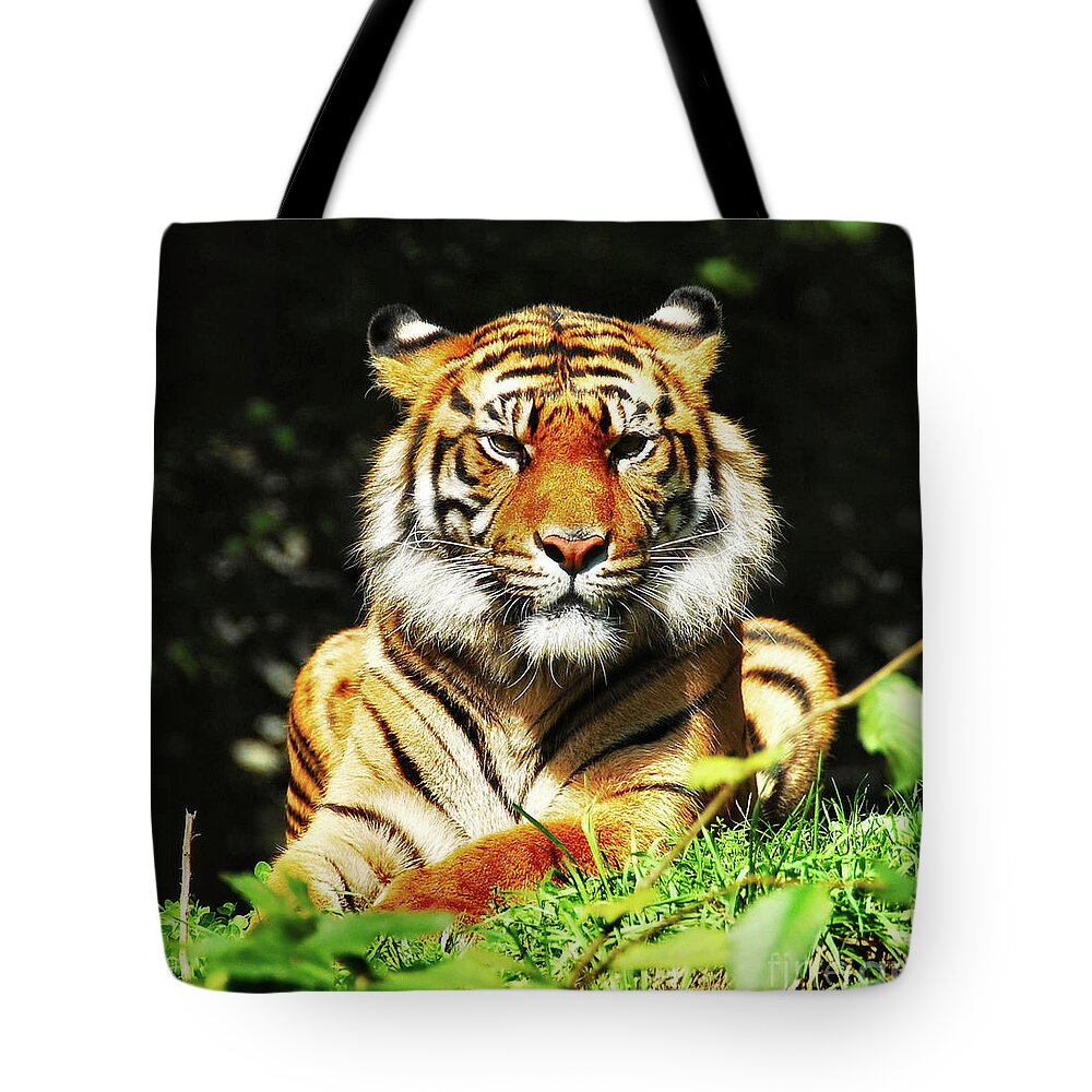 Tiger Tote Bag featuring the photograph A Beauty Among the Beasts by Elaine Manley