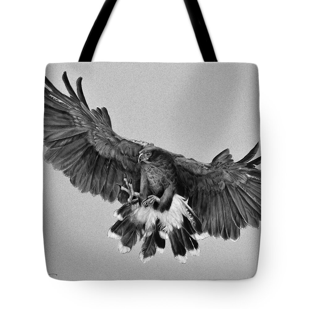 Hawk Tote Bag featuring the drawing Harris's Hawk by Daniel Adams
