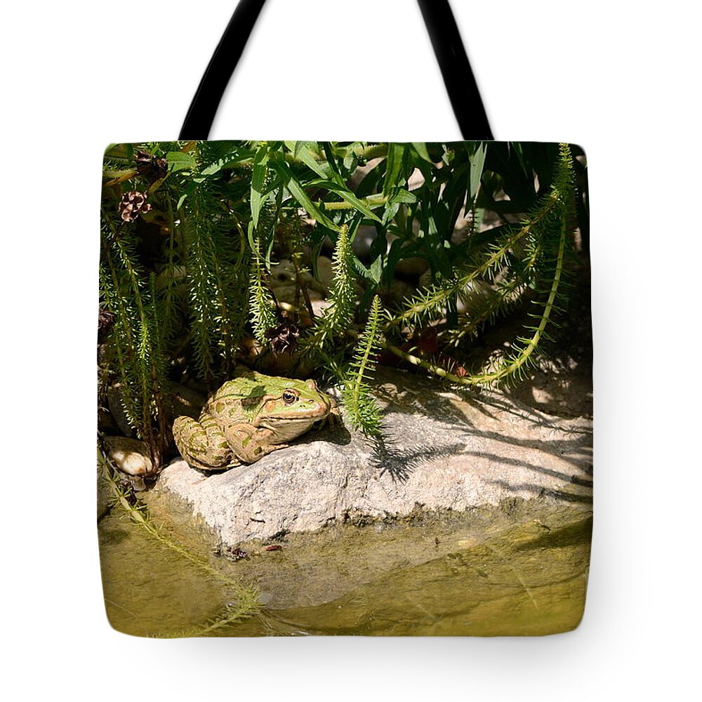 Frog Tote Bag featuring the photograph Green Frog Sitting At The Pond by Karin Stein