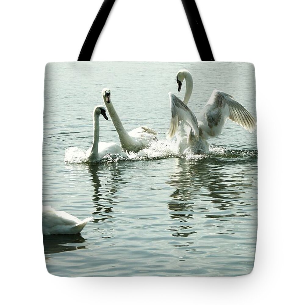 Swans. Water Tote Bag featuring the photograph I think he means it..... this time........ by Martina Fagan