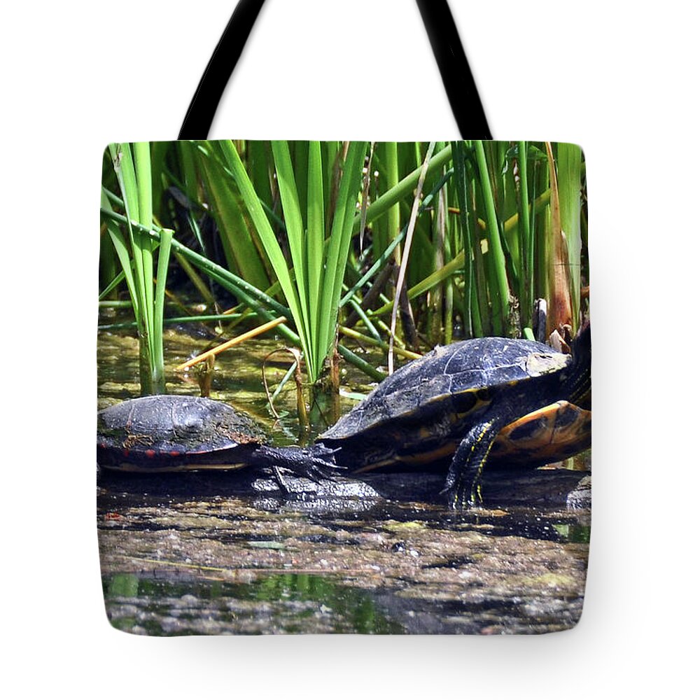 Turtle Tote Bag featuring the photograph Turtles Sunning by Elaine Manley