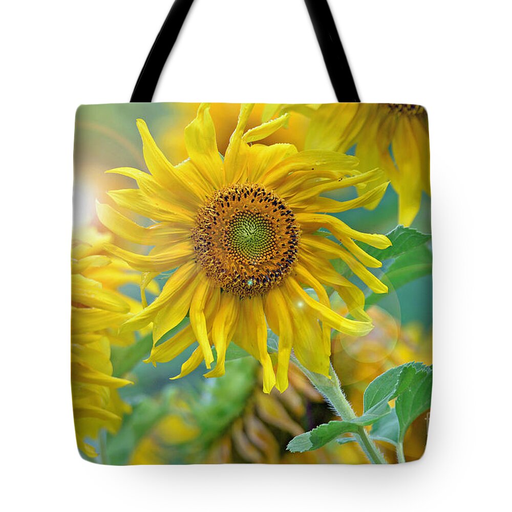 Sunflower Tote Bag featuring the photograph Sunflower by Lila Fisher-Wenzel