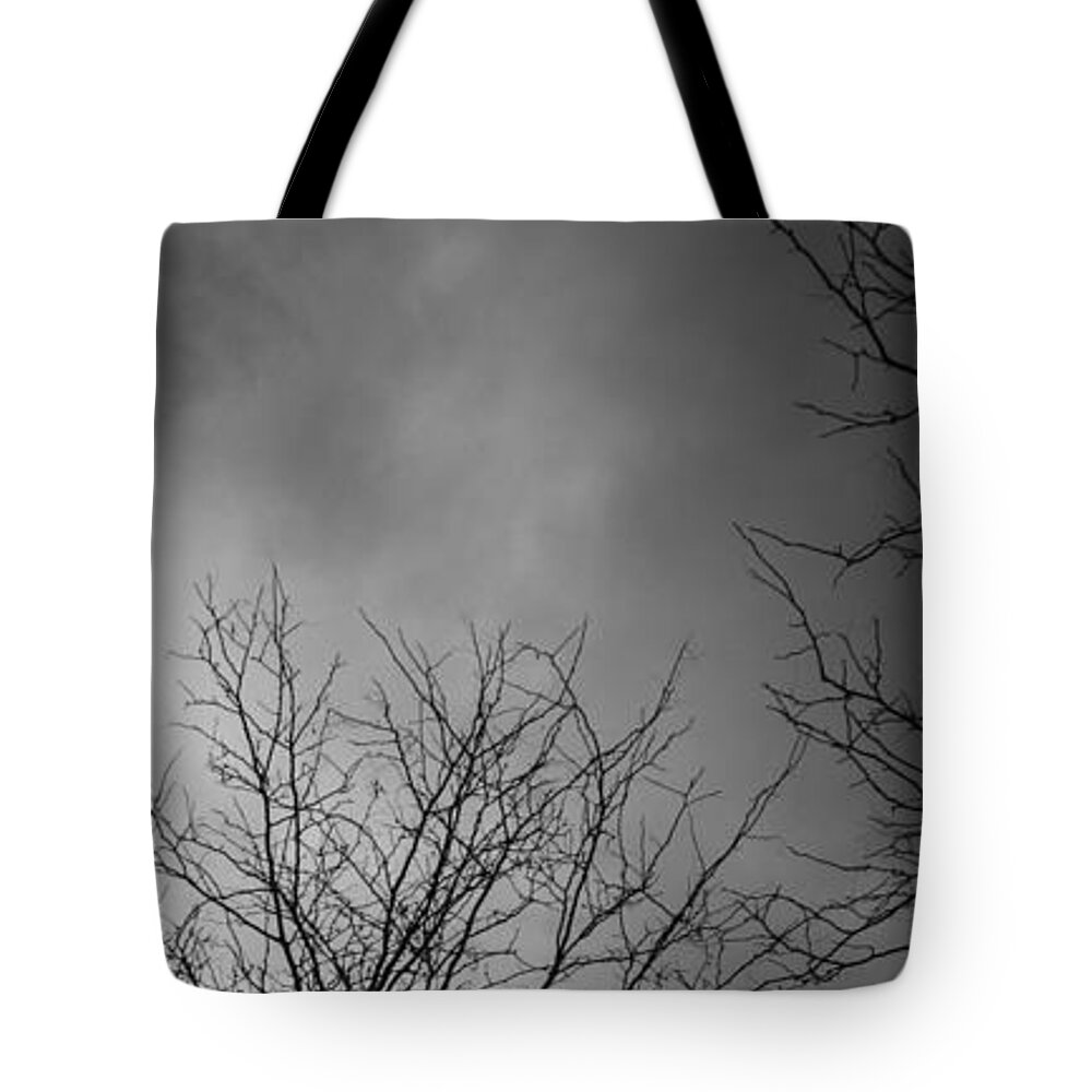 Black And White Art- Images Of Trees- Gothic- Images Of #raeannmgarrett- Photography- #blackandwhiteart - #blackandwhitelandscapes Tote Bag featuring the photograph Tree in Black by Rae Ann M Garrett