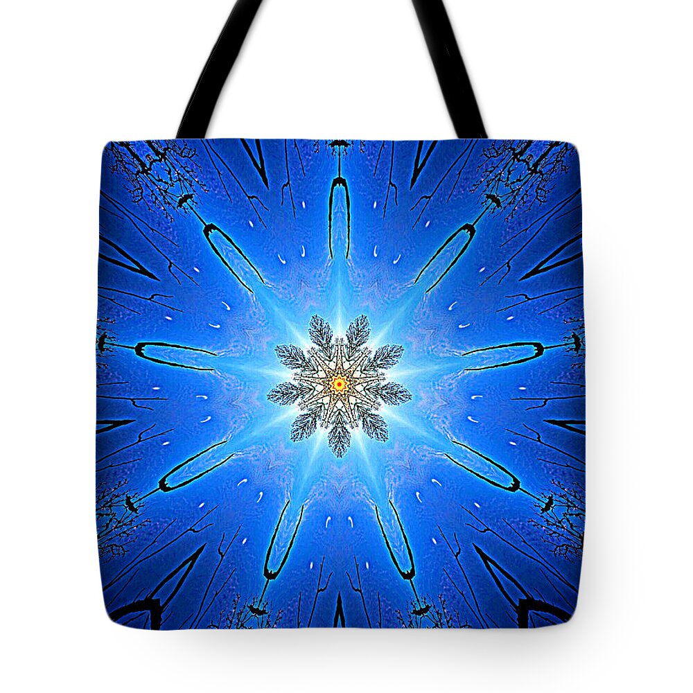 Fine Art Tote Bag featuring the photograph 026 by Phil Koch