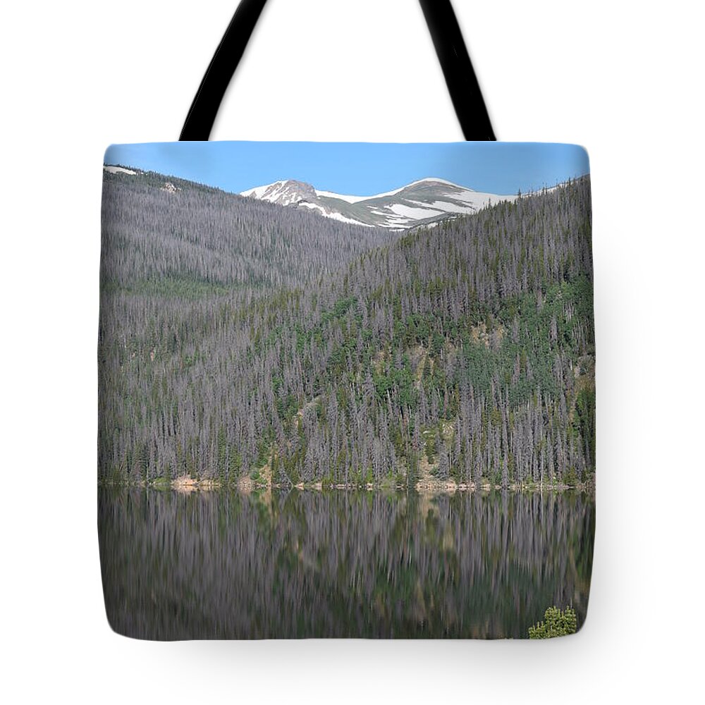 Mountains Tote Bag featuring the photograph Chambers Lake Reflection Hwy 14 CO by Margarethe Binkley
