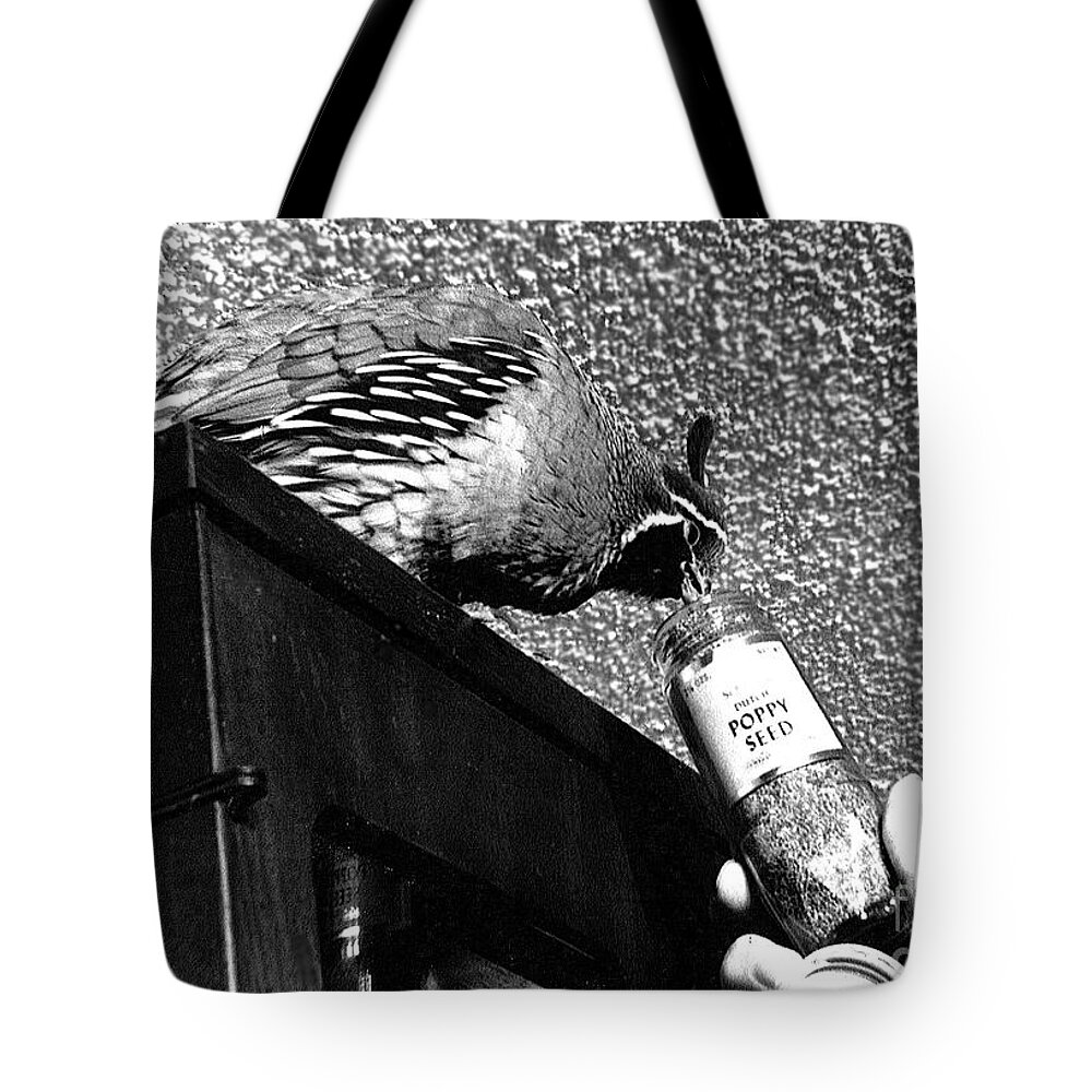 Nature Tote Bag featuring the photograph 06_Peep became so dedicated by Christopher Plummer