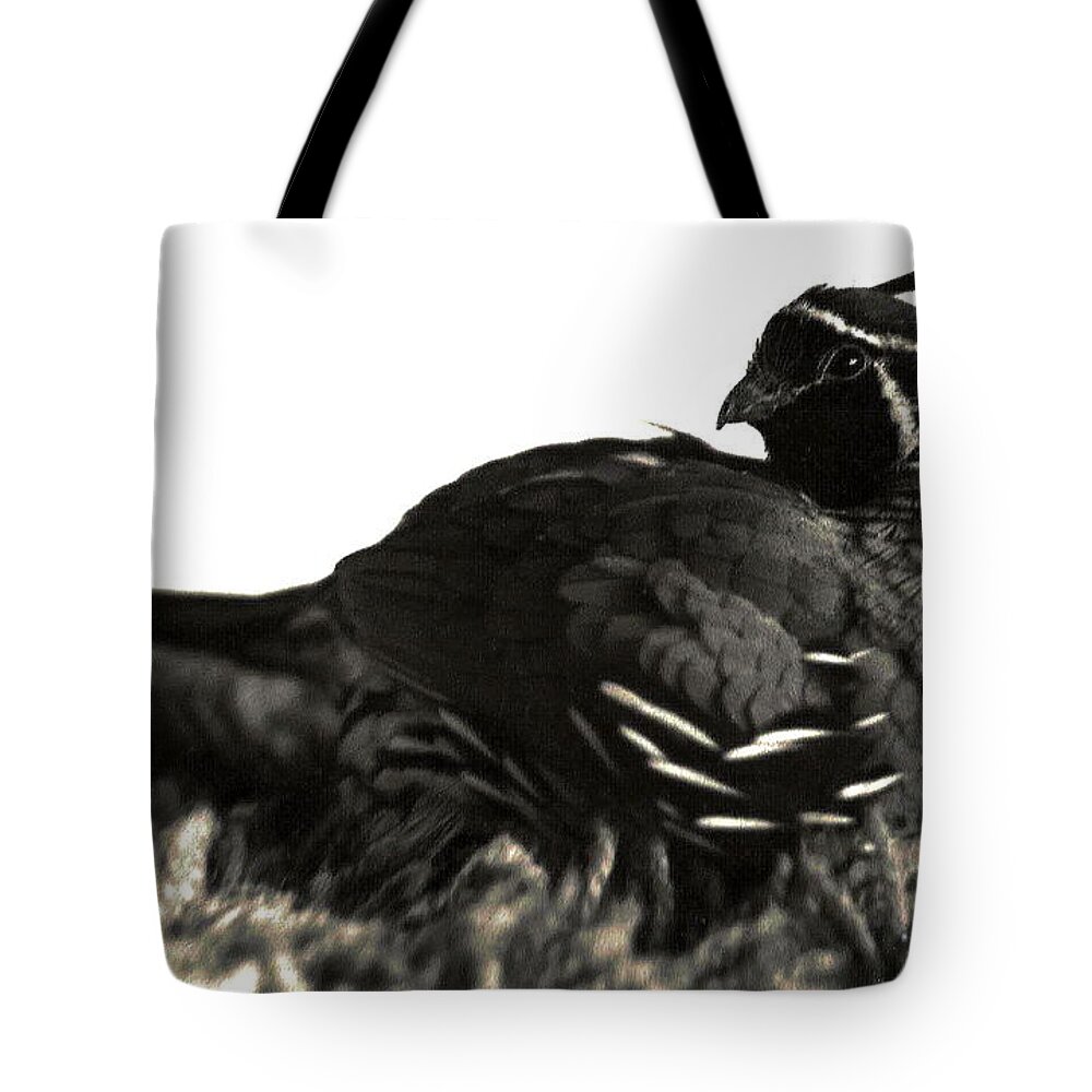 Nature Tote Bag featuring the photograph 07_That winter my job by Christopher Plummer