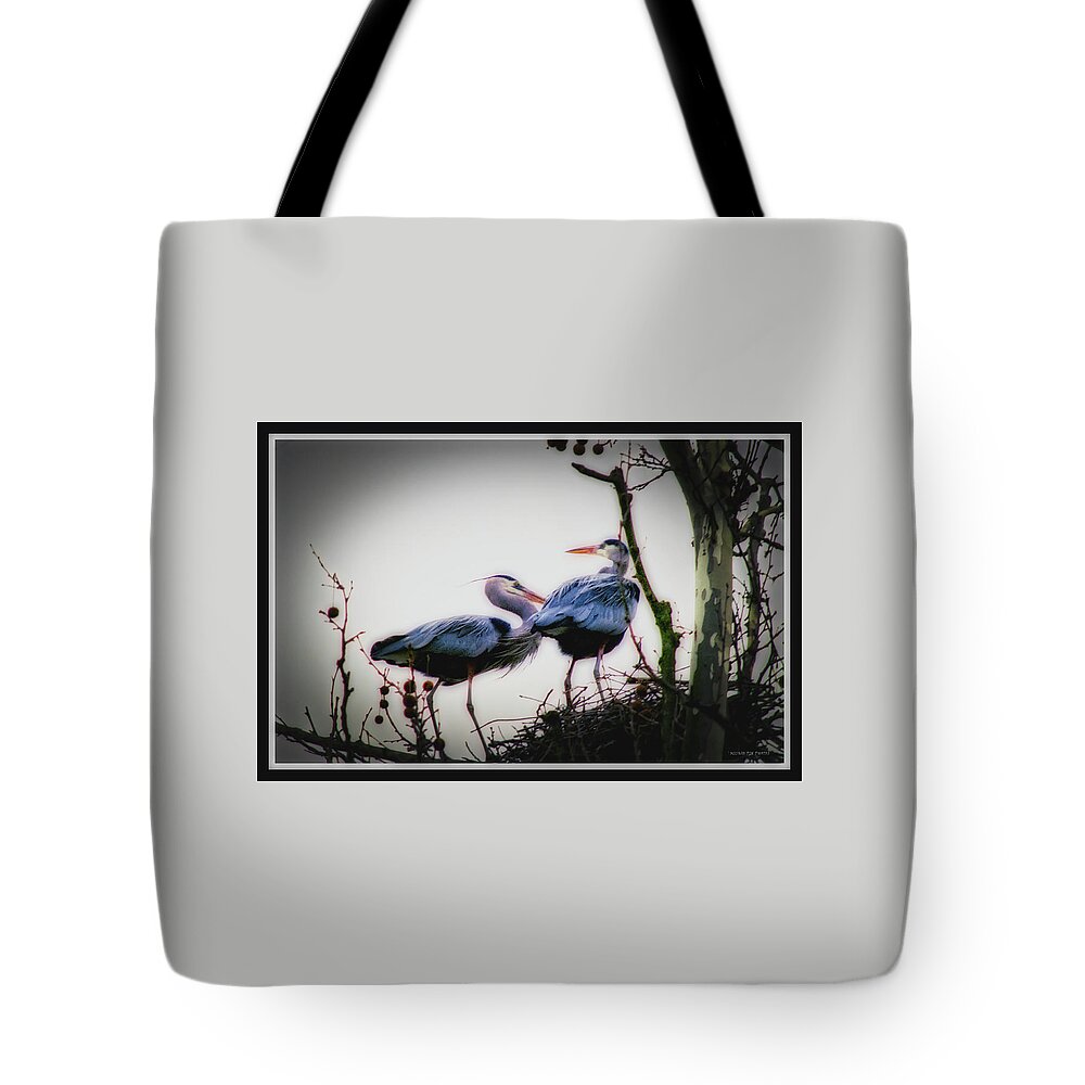 Great Blue Herons Tote Bag featuring the photograph 082118-2 by Mike Davis