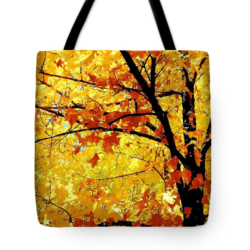 Nature Tote Bag featuring the photograph 09032015034 by Debbie L Foreman